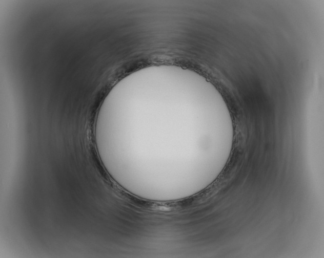 X0000113080706200908280947
