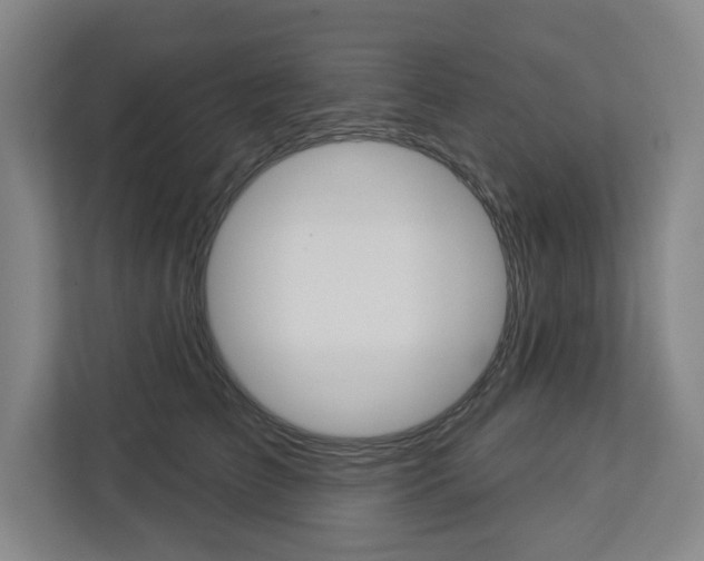 X0000113080709200908280947