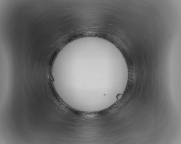 X0000113080710200908280947