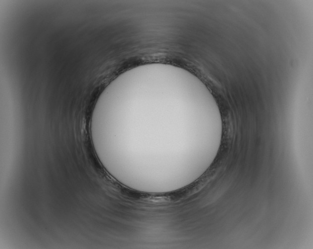 X0000113080711200908280947