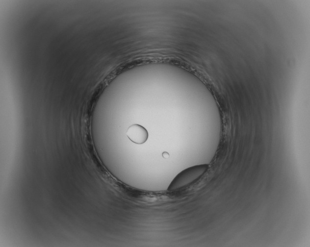 X0000113080712200908280947