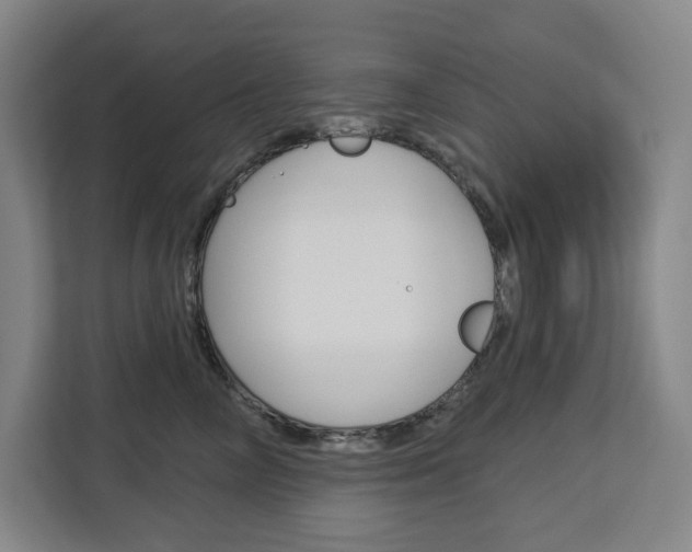 X0000113080714200908280947