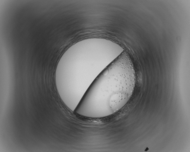 X0000113080715200908280947