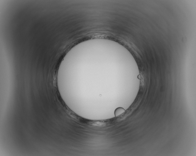 X0000113080718200908280947