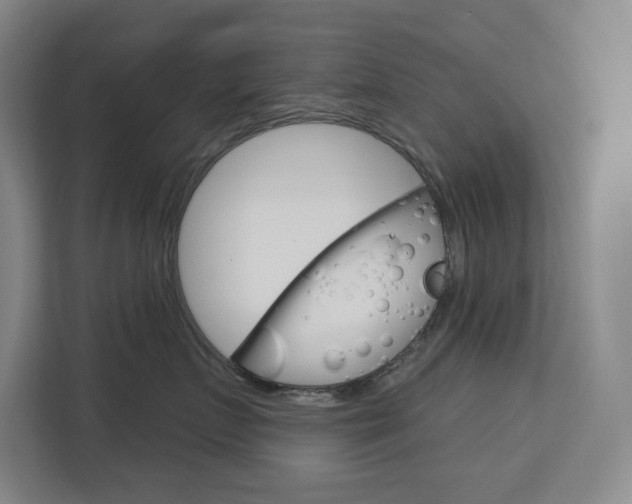 X0000113080719200908280947