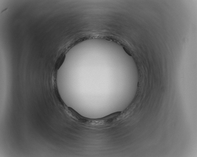 X0000113080720200908280947