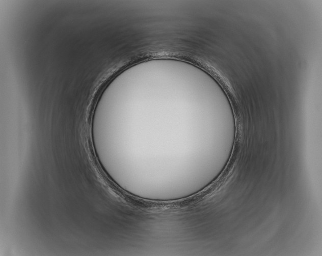 X0000113080721200908280946