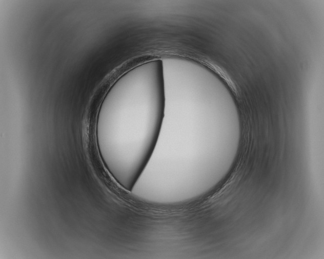 X0000113080722200908280946