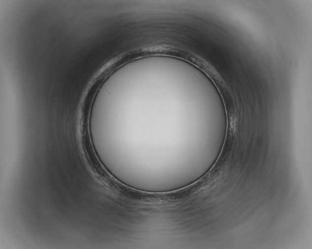 X0000113080724200908280946