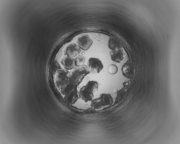 X0000113080725200908280946