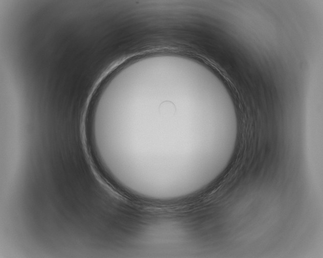 X0000113080726200908280946