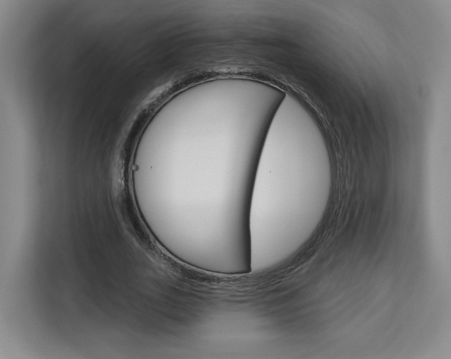 X0000113080727200908280946