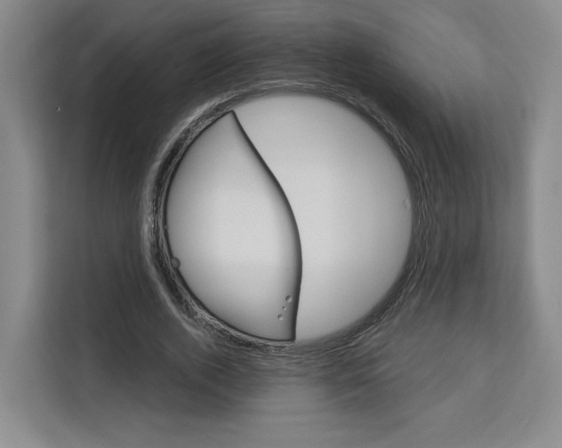 X0000113080728200908280946