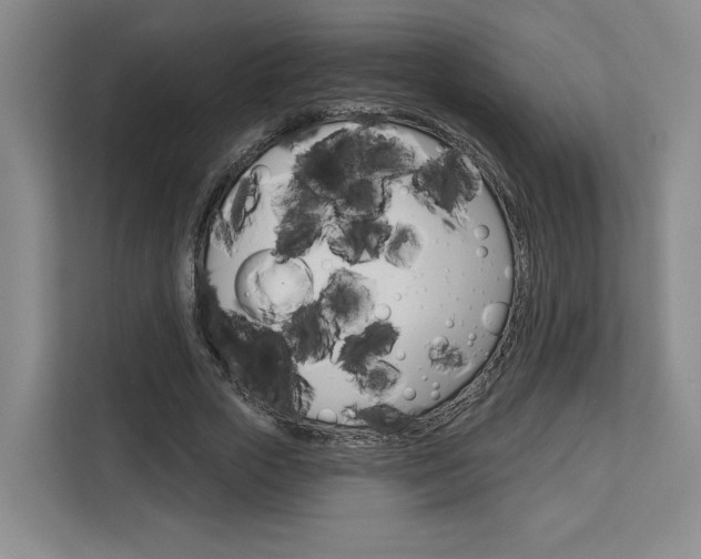 X0000113080729200908280946