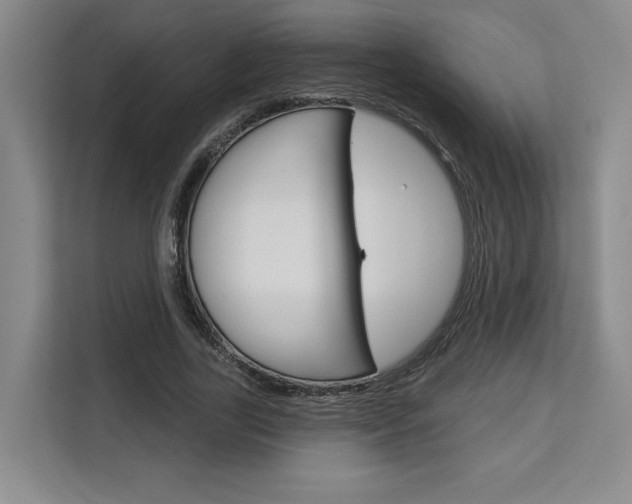 X0000113080731200908280947