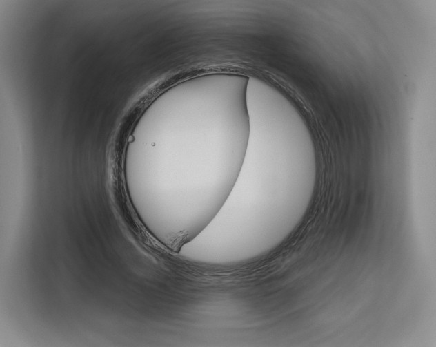 X0000113080732200908280947