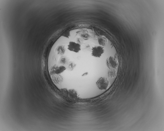 X0000113080733200908280947