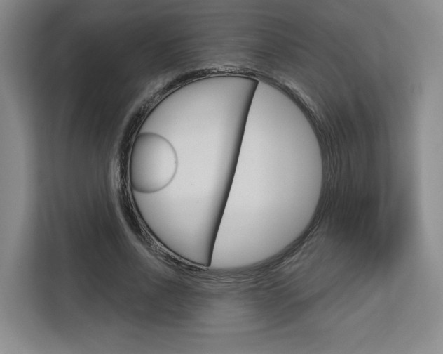 X0000113080734200908280947