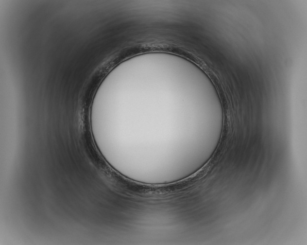 X0000113080735200908280947