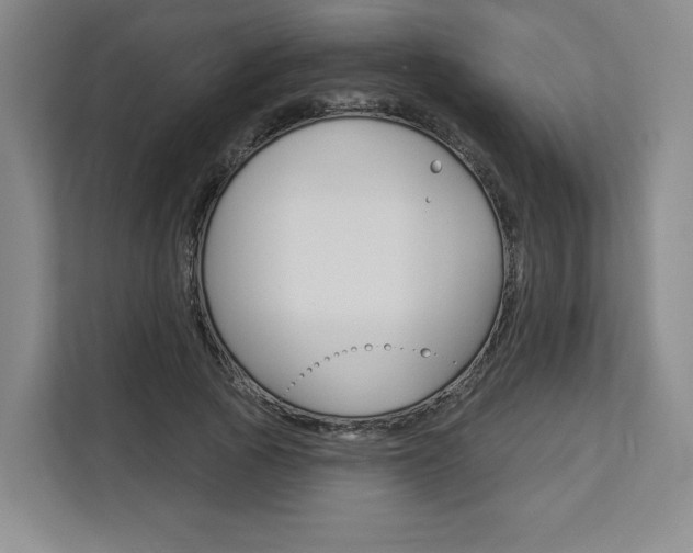 X0000113080737200908280947