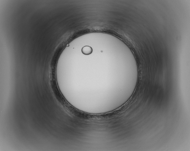 X0000113080738200908280947
