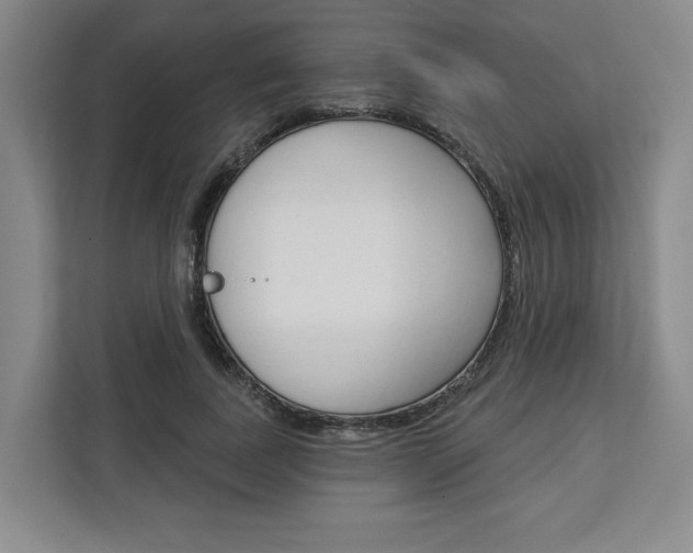 X0000113080739200908280947