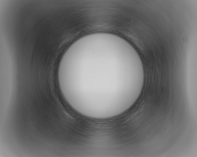X0000113080740200908280947