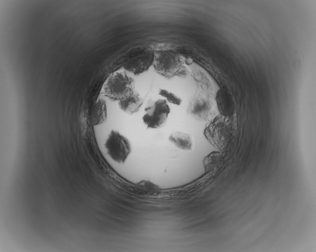 X0000113080741200908280947