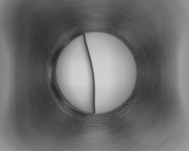 X0000113080742200908280947