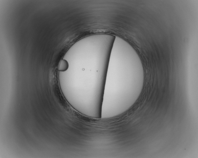 X0000113080743200908280947