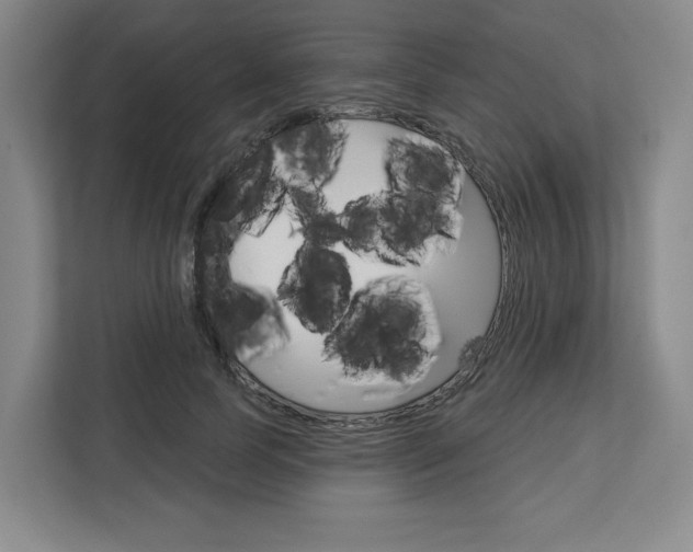 X0000113080745200908280947