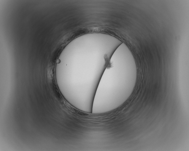 X0000113080746200908280947