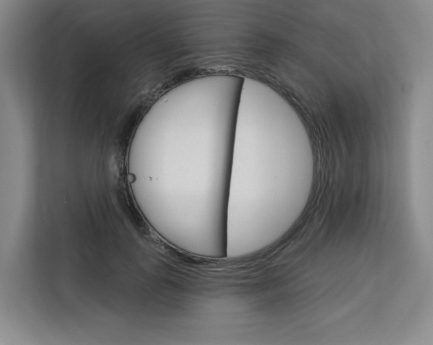 X0000113080747200908280947