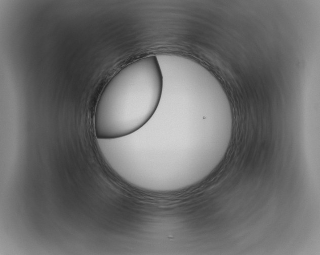 X0000113080748200908280947