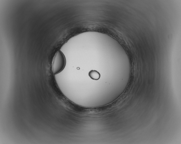 X0000113080750200908280947