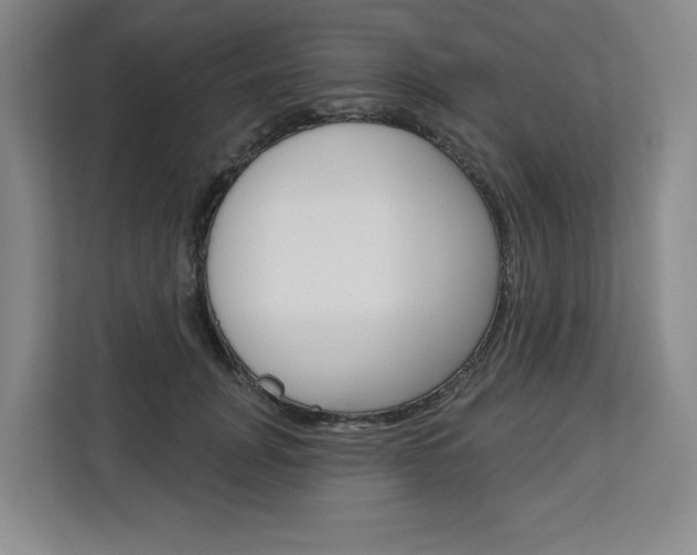 X0000113080751200908280947