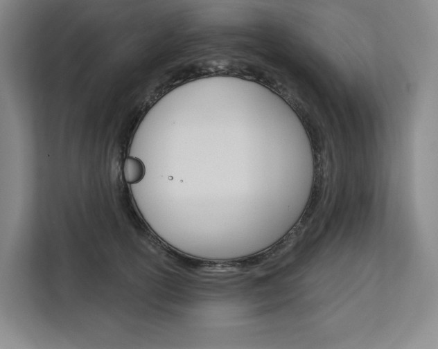 X0000113080754200908280947