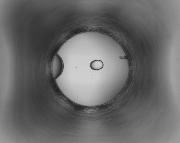 X0000113080756200908280947