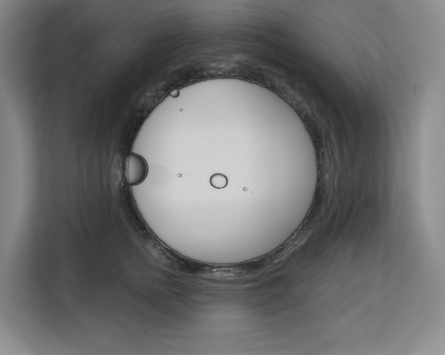 X0000113080758200908280947
