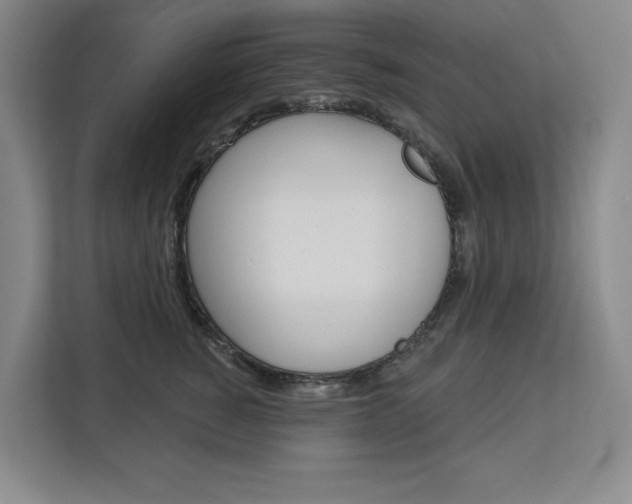 X0000113080760200908280947