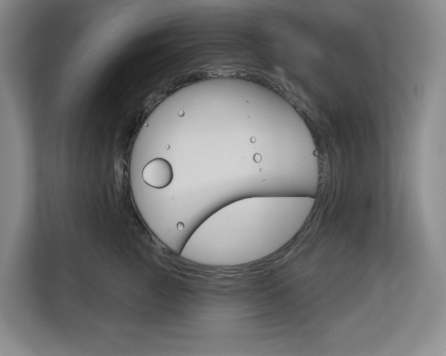 X0000113080761200908280947