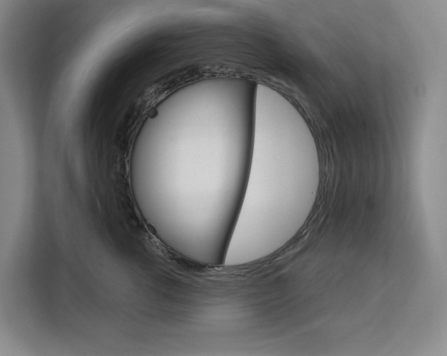 X0000113080762200908280947