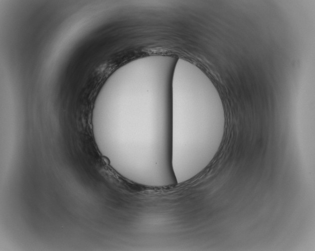X0000113080763200908280947