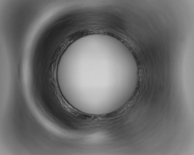 X0000113080764200908280947