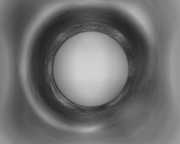 X0000113080765200908280947