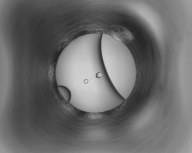 X0000113080767200908280947