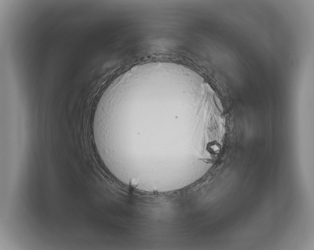 X0000113080769200908280946