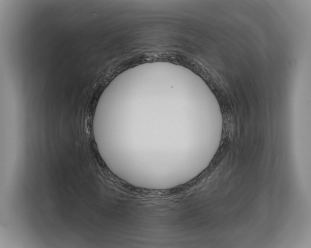 X0000113080770200908280946