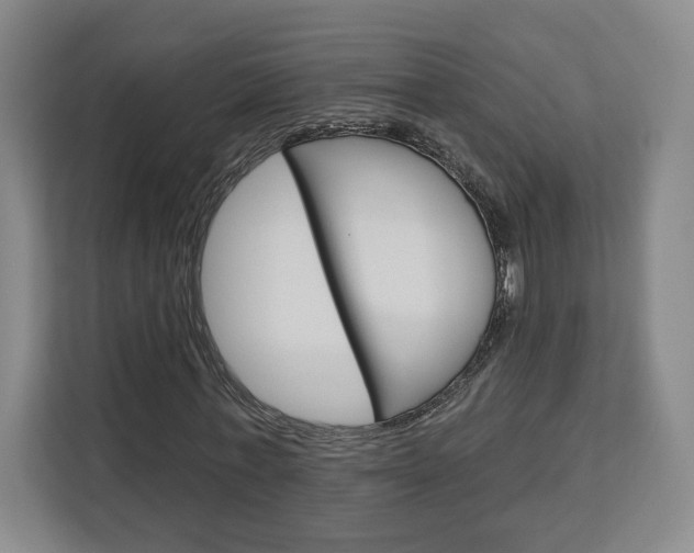 X0000113080771200908280946