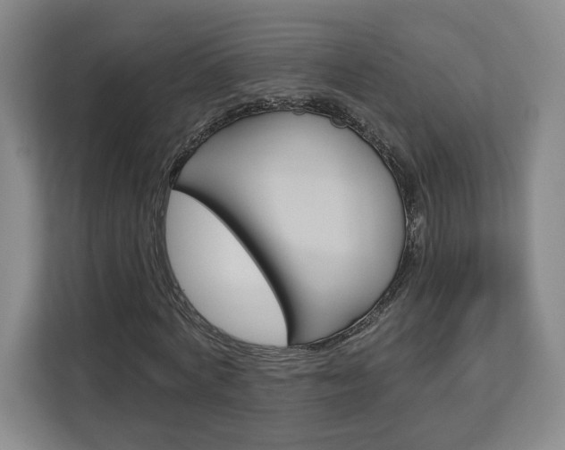 X0000113080772200908280946